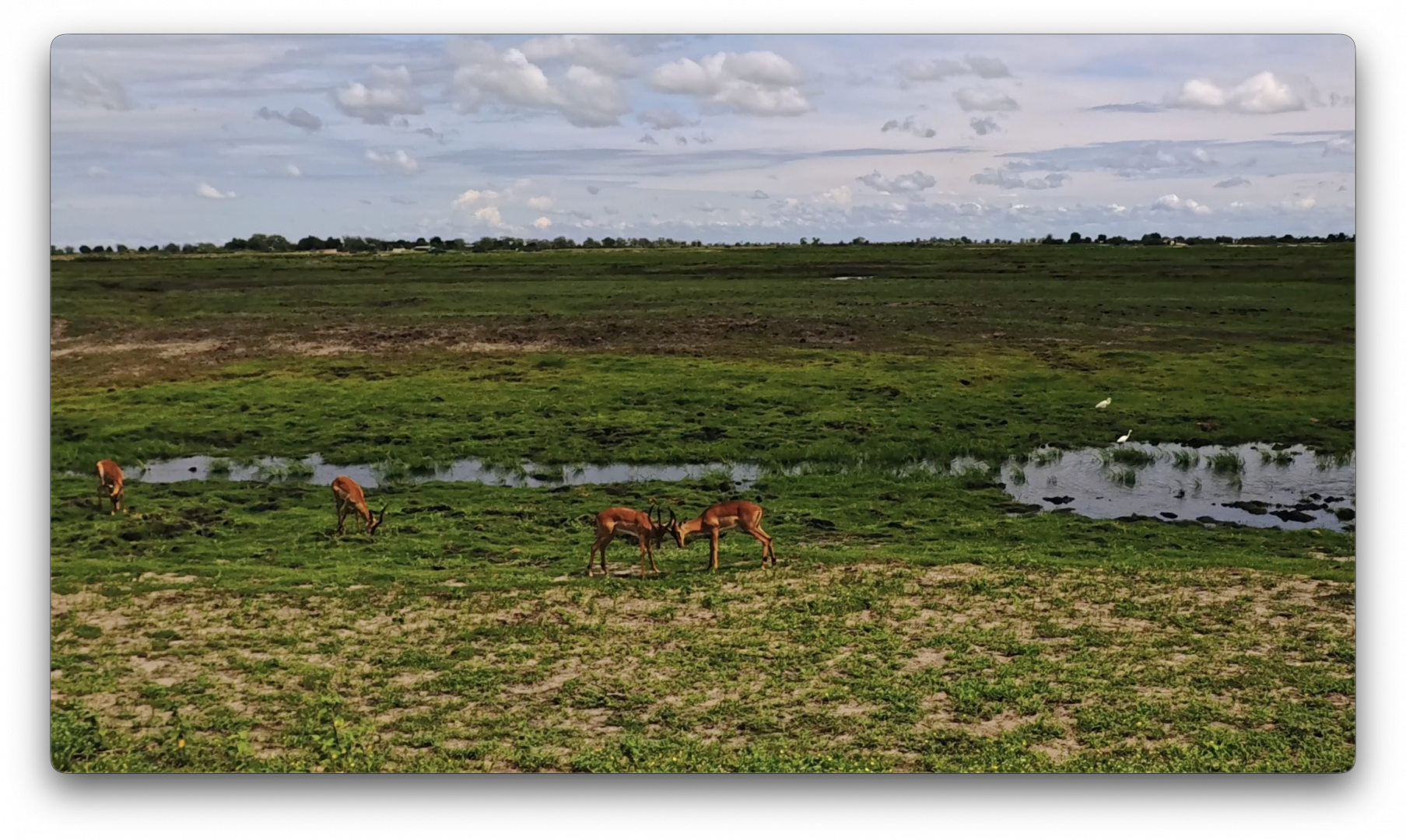 Στιγμιότυπο οθόνης 2026-02-10, 2.10.58 μμ.png