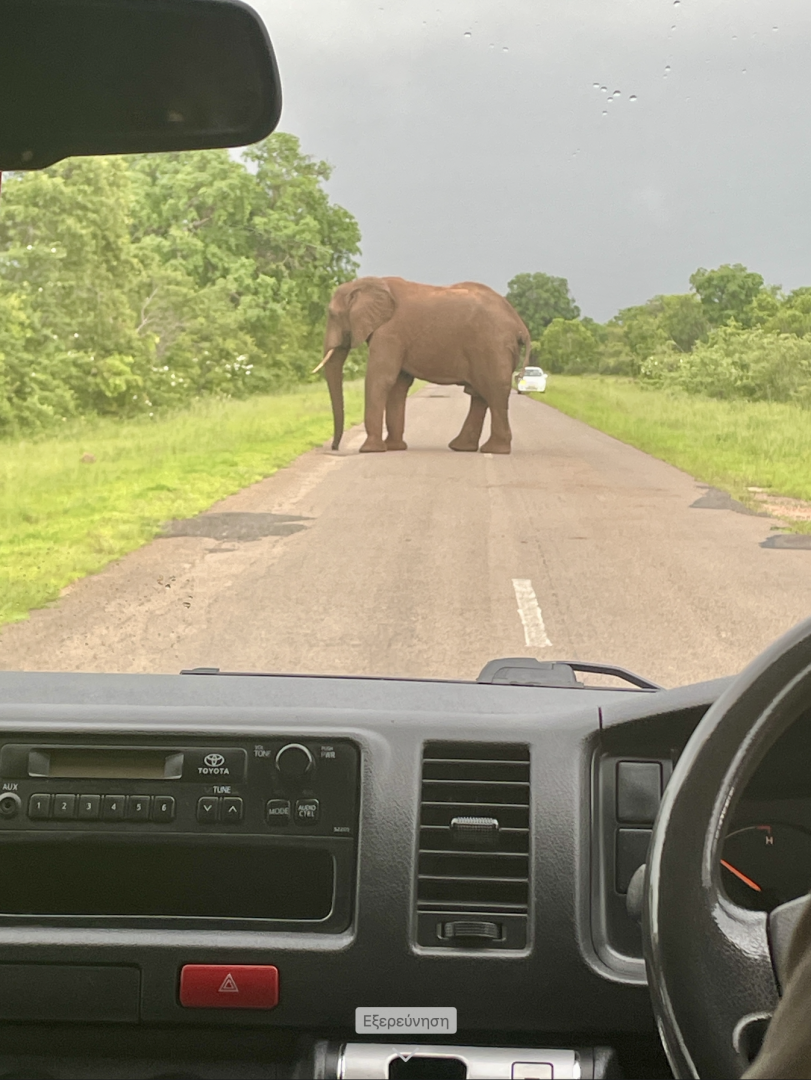 Στιγμιότυπο οθόνης 2026-02-10, 2.22.09 μμ.png