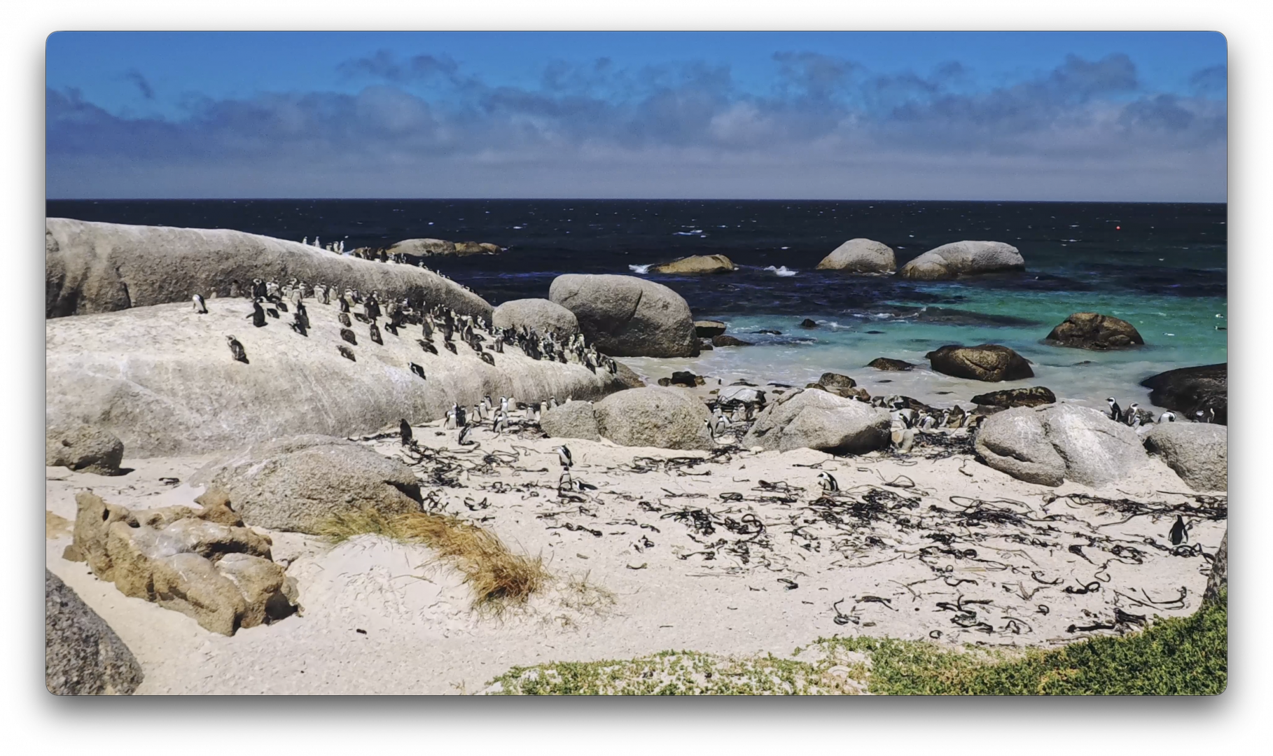 Στιγμιότυπο οθόνης 2026-02-13, 3.06.28 μμ.png