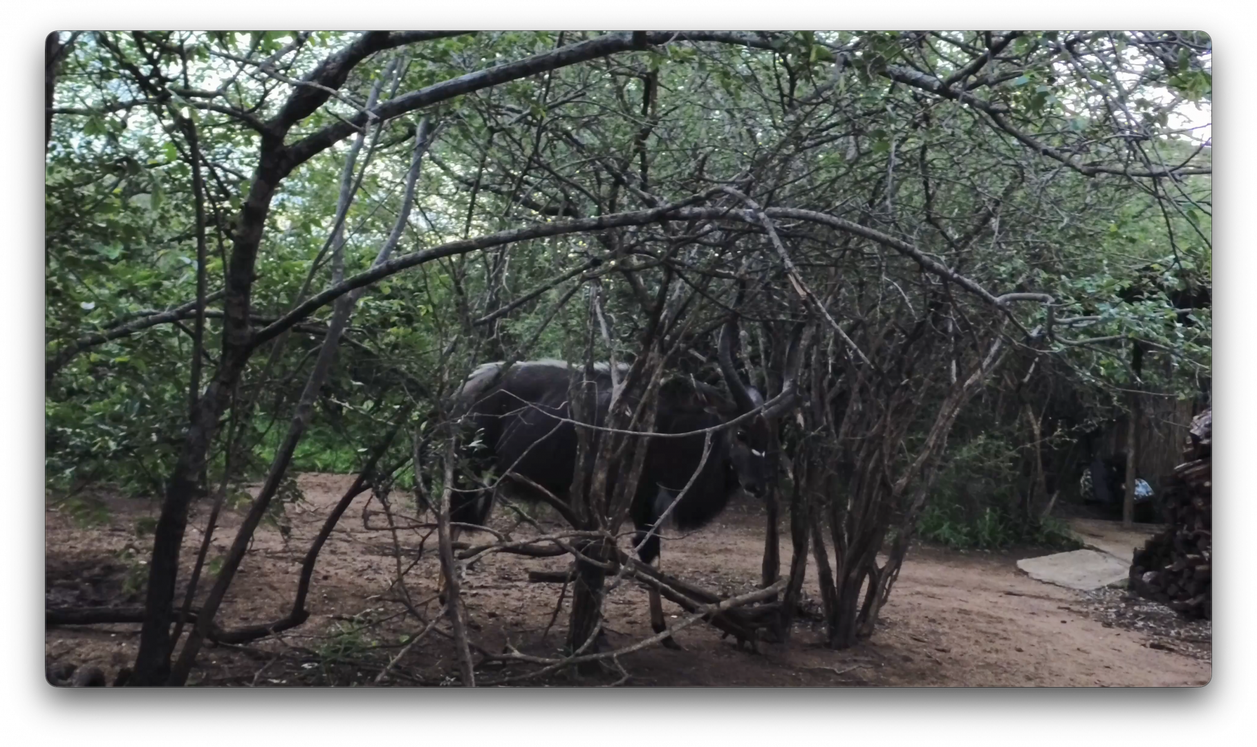 Στιγμιότυπο οθόνης 2026-02-24, 3.59.52 μμ.png