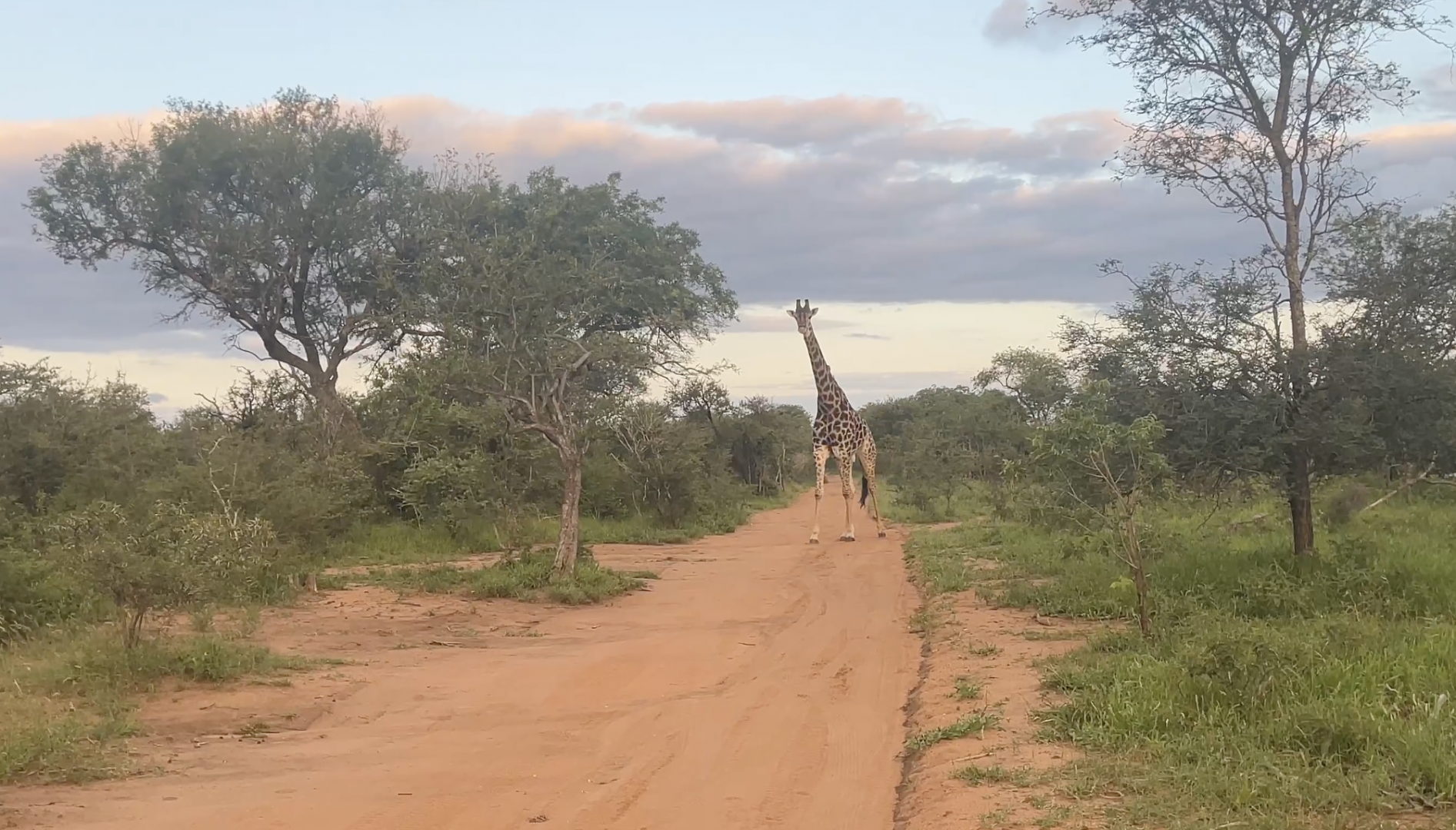 Στιγμιότυπο οθόνης 2026-02-24, 3.56.33 μμ.png