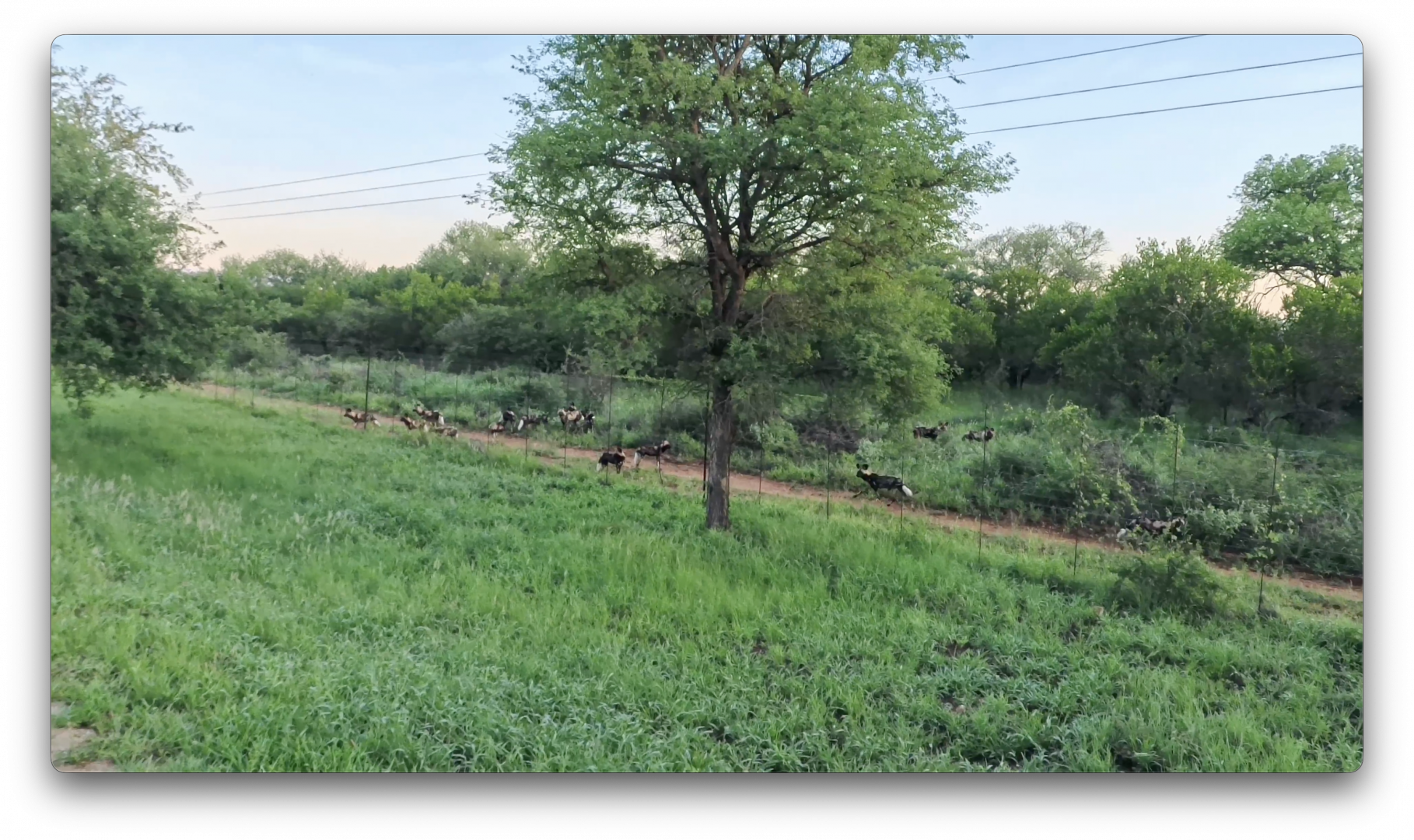 Στιγμιότυπο οθόνης 2026-02-24, 4.00.21 μμ.png