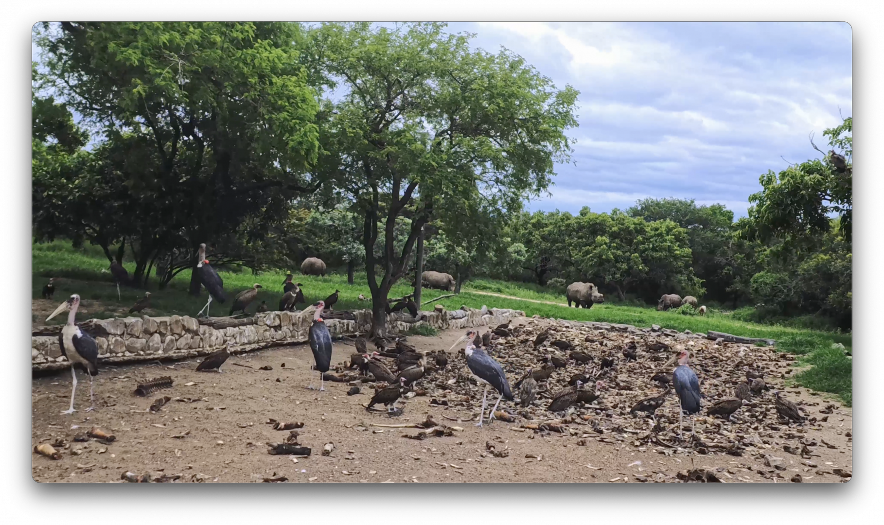 Στιγμιότυπο οθόνης 2026-02-24, 4.06.54 μμ.png