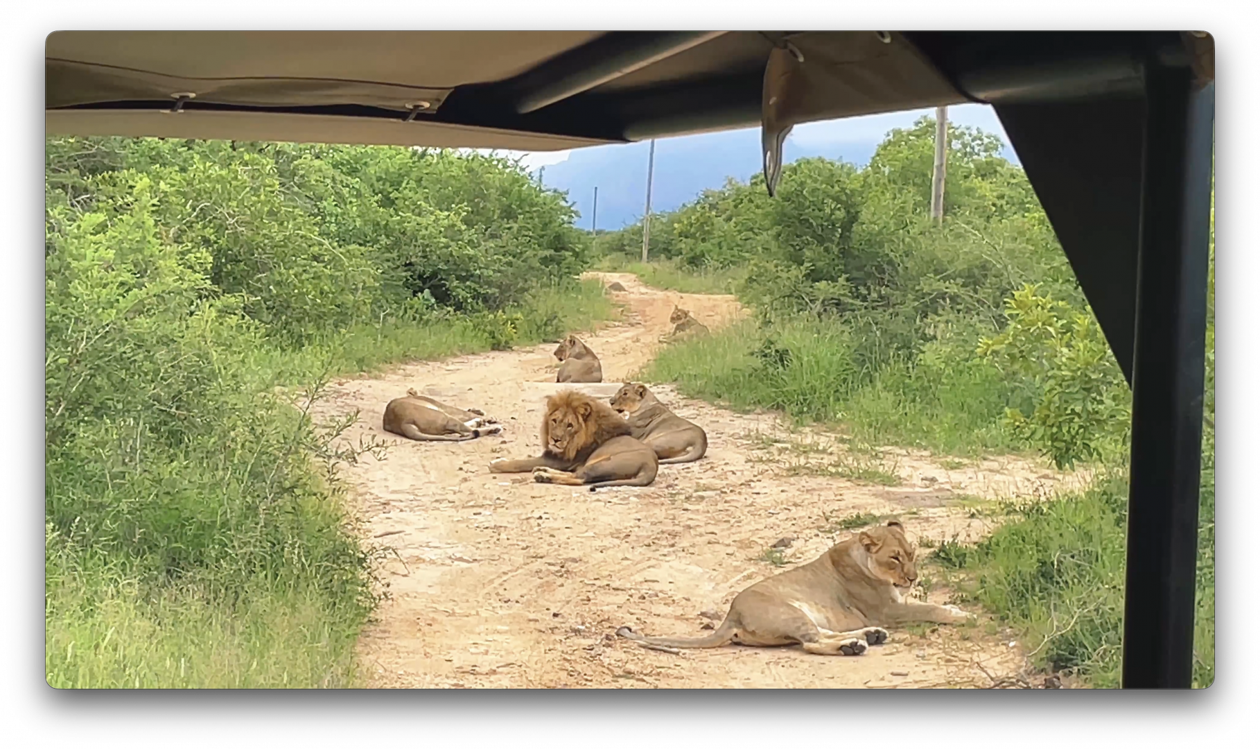 Στιγμιότυπο οθόνης 2026-02-24, 4.08.45 μμ.png