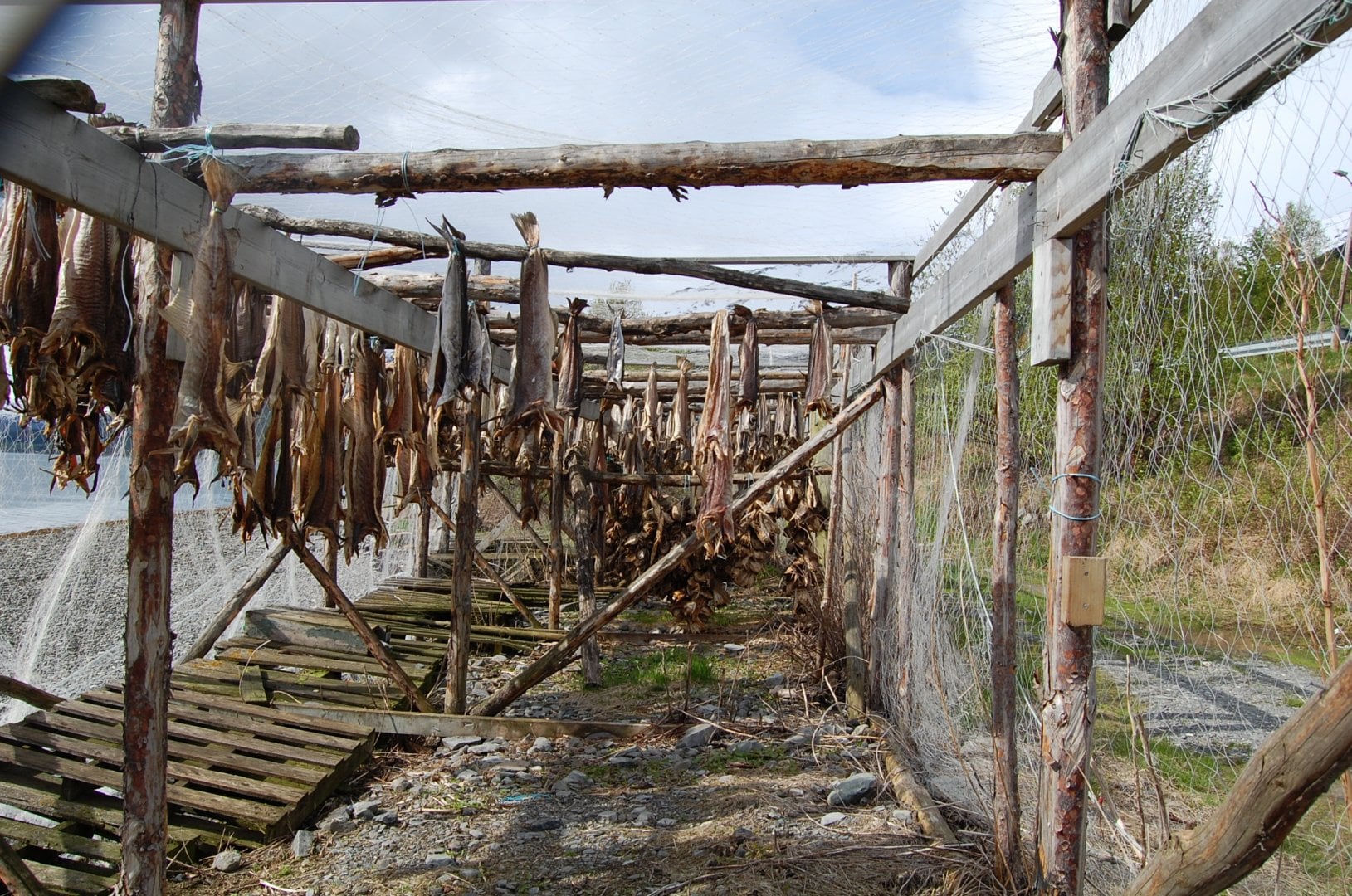 2 (78)_Original.jpeg