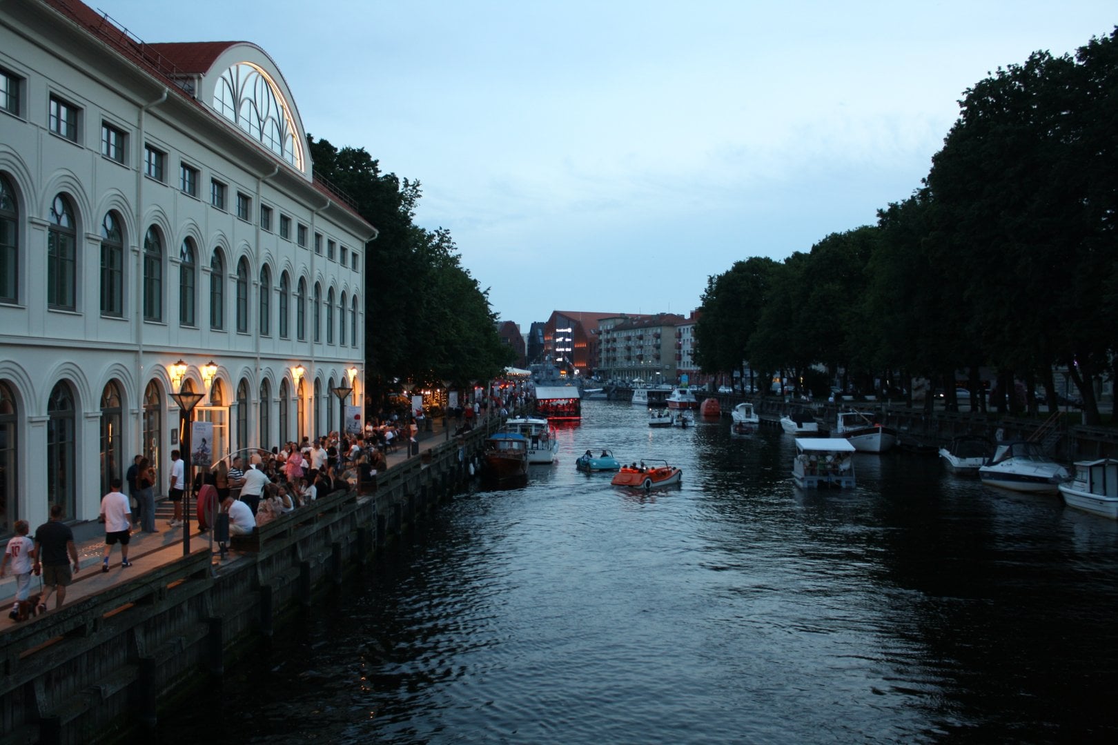 IMG_5446.JPG