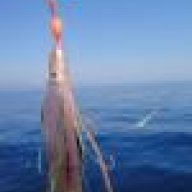 sailing_away