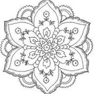 Salamandrina
