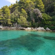 Parasknikos