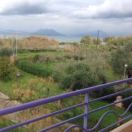λινα βενη