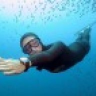 Diver