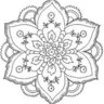 Salamandrina