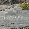 Taniolap