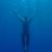 .voyager
