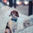 Basiliki_ramone