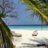 EVI_AL