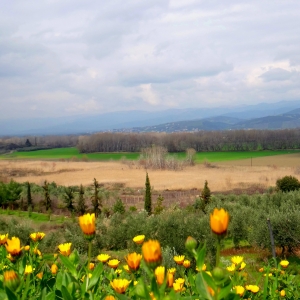 Central Greece
