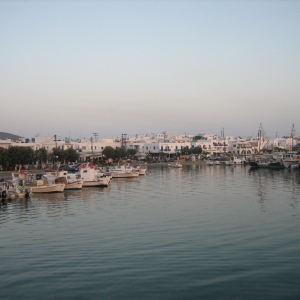 Αντίπαρος 2010