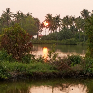 Iνδία 2013 (3/3):  Κerala (Backwaters, Munnar, Kochi)