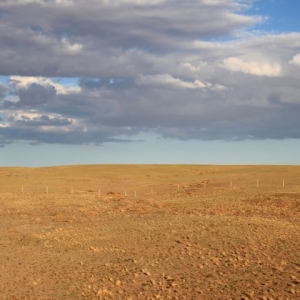 Μογγολία 2013
