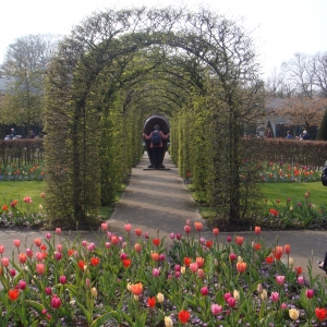Keukenhof