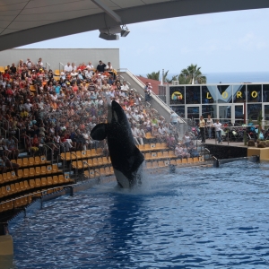 Honeymoon in Tenerife.........2011