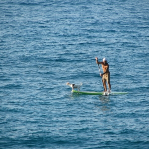 Ικαρία 2014