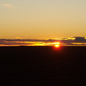 Punta Arenas