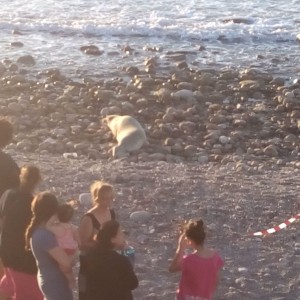 Samos 2016