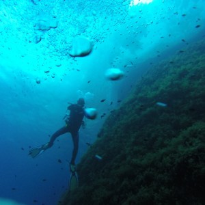 Diving Malta (and Gozo)