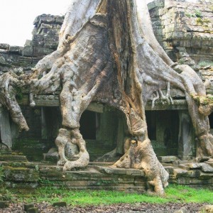 Cambodia  2013
