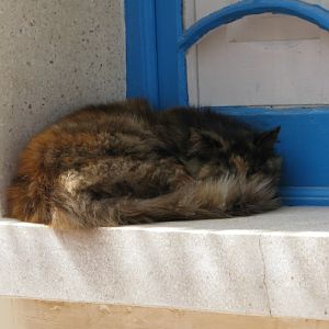 malta2