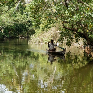 Backwaters, Kerala