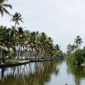 Backwaters, Kerala