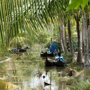 Backwaters, Kerala