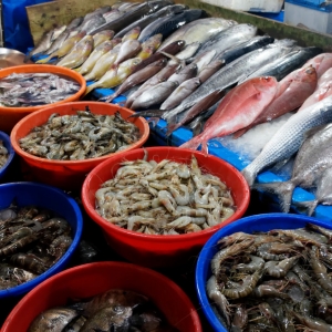 Ιχθυοπωλεία. Fort Kochi, Kochi, Kerala