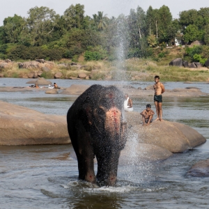 To μπάνιο της Laxmi. 
Hampi, Karnataka