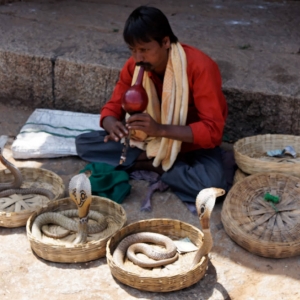 Γητευτής κομπρών.
Hampi, Karnataka