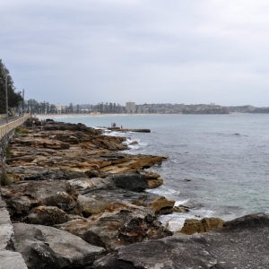 Manly coastline