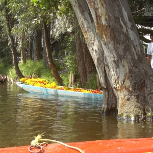 Πλωτο ανθοπωλειο στο Xochimilco