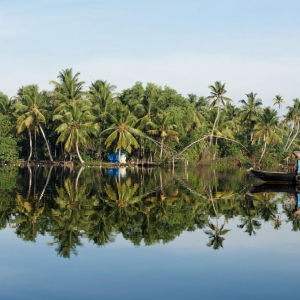 Backwaters, Kerala