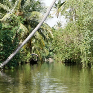 Backwaters, Kerala