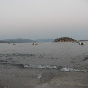 Τολό