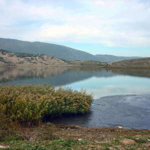 Λίμνη Ζάζαρη - Λιμνοχώρι