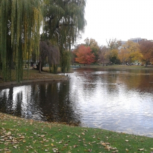 Public garden