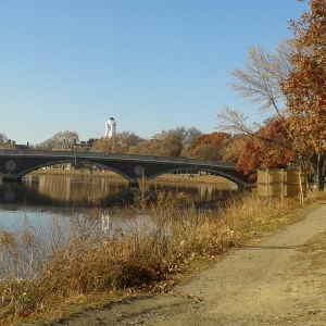 Charles river