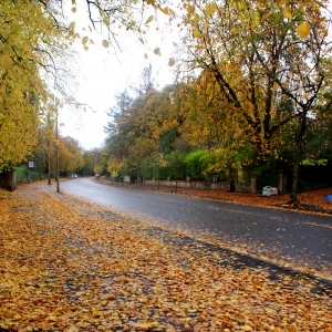 Dalkeith Avenue