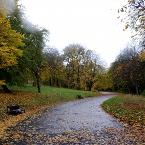 Bellahouston