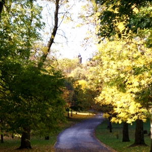 Kelvingrove