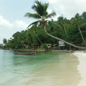 Salad Beach